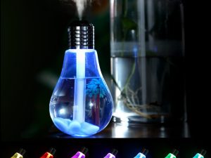 Bulb Humidifier